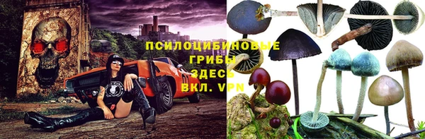 крисы Яранск